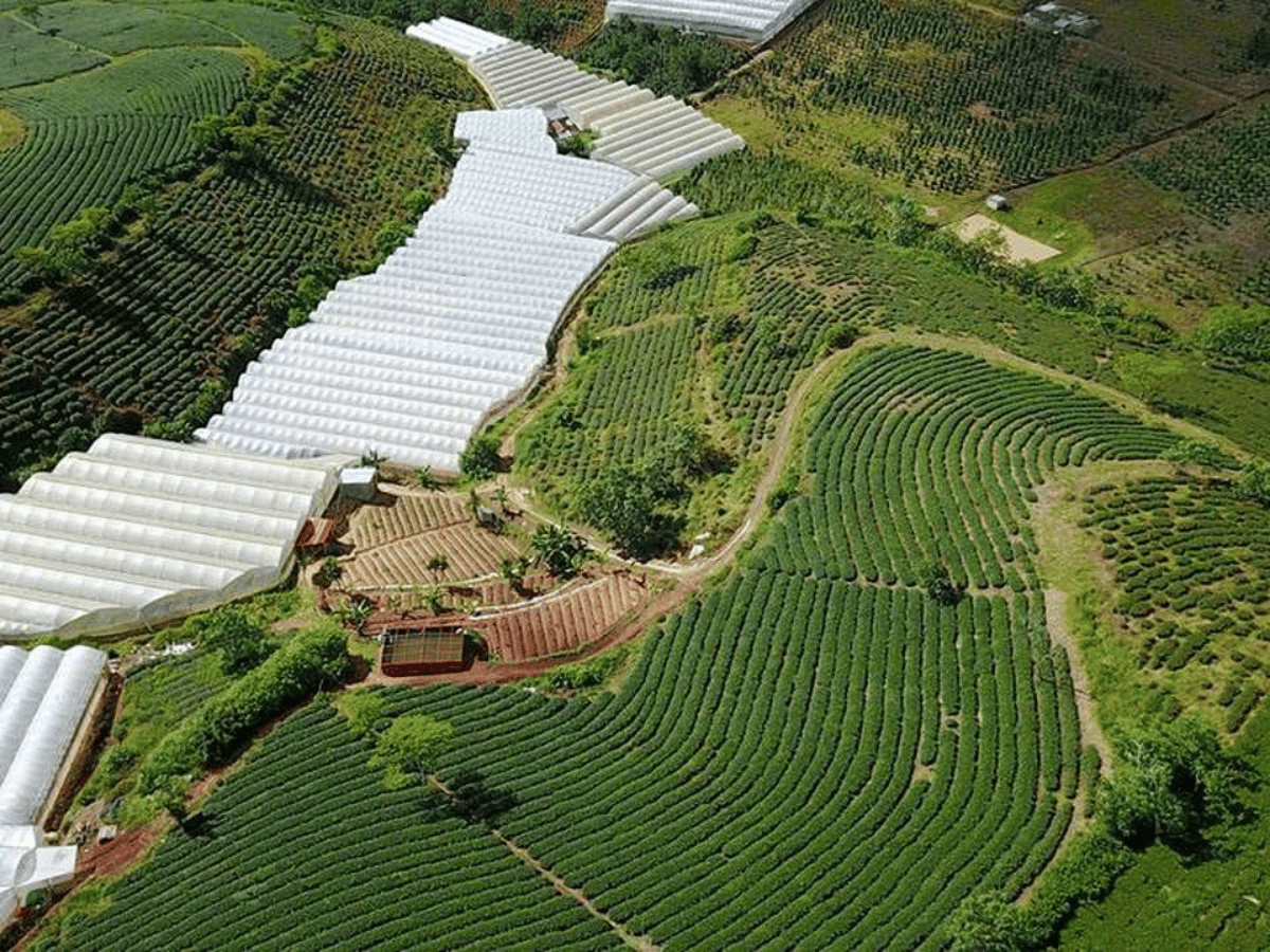 doi-che-cau-dat-da-lat