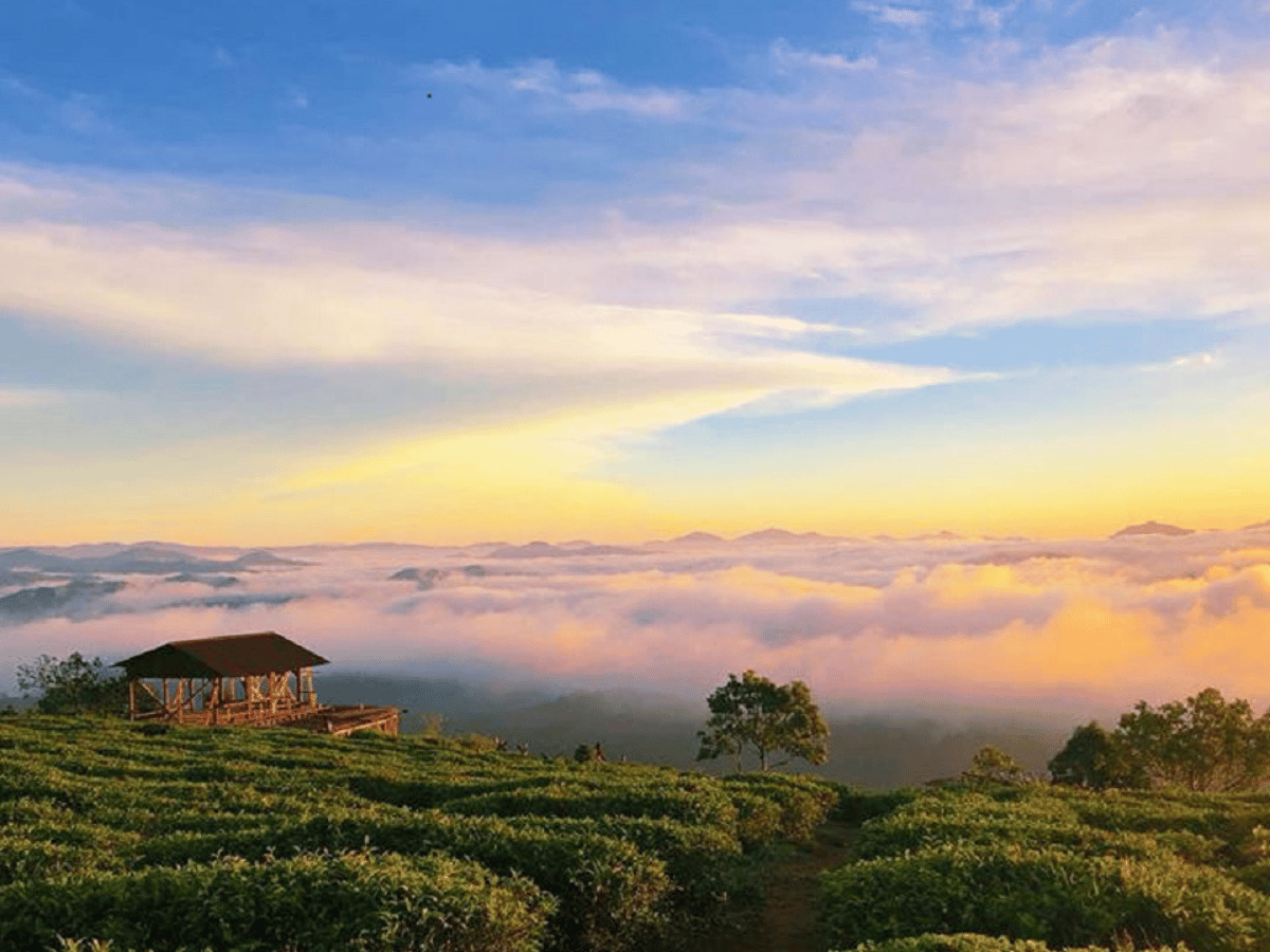 doi-che-cau-dat-da-lat