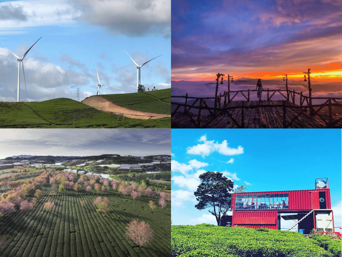 doi-che-cau-dat-da-lat