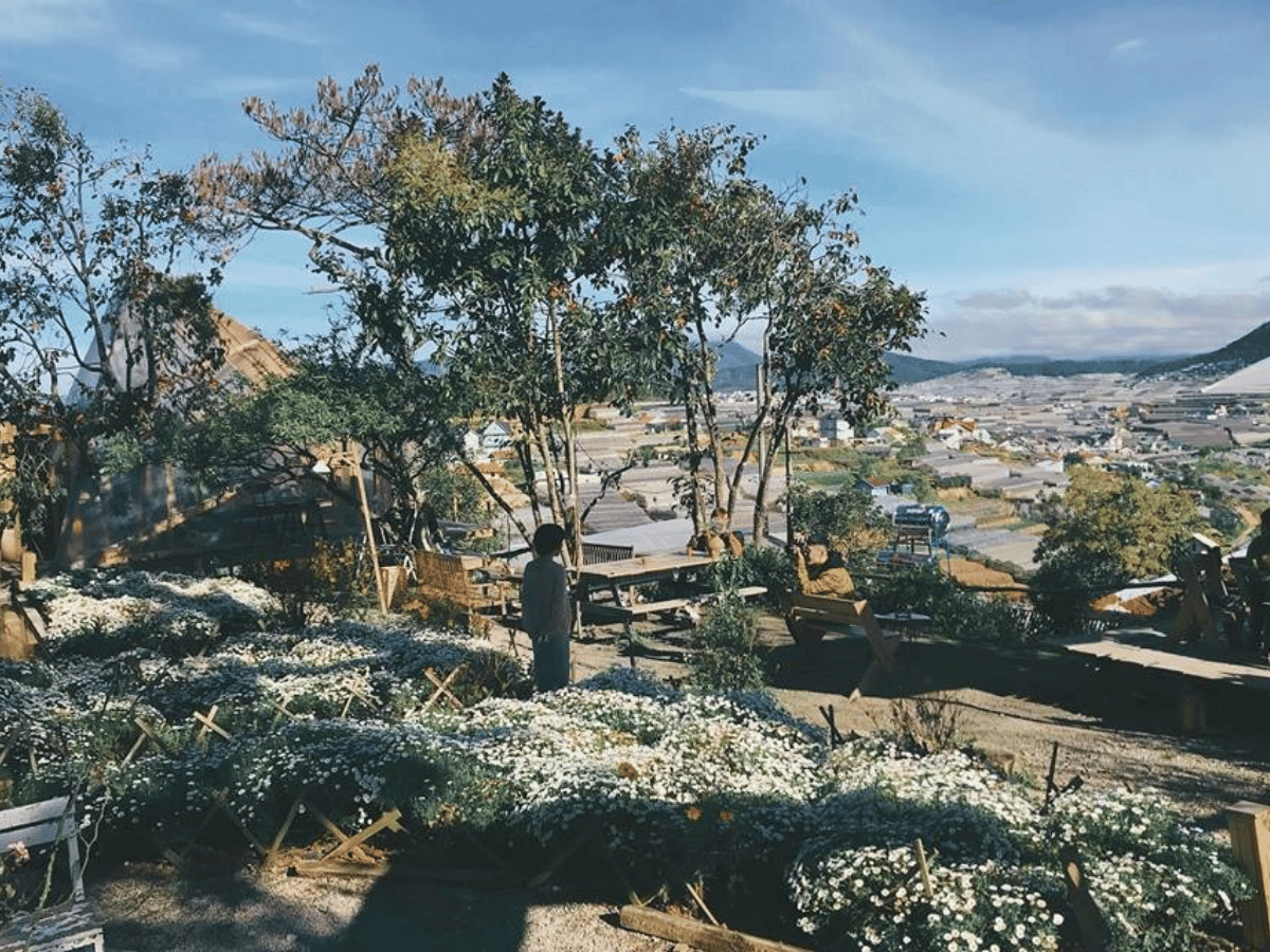 dia-diem-du-lich-da-lat