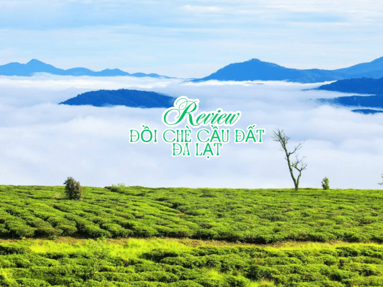 doi-che-cau-dat-da-lat